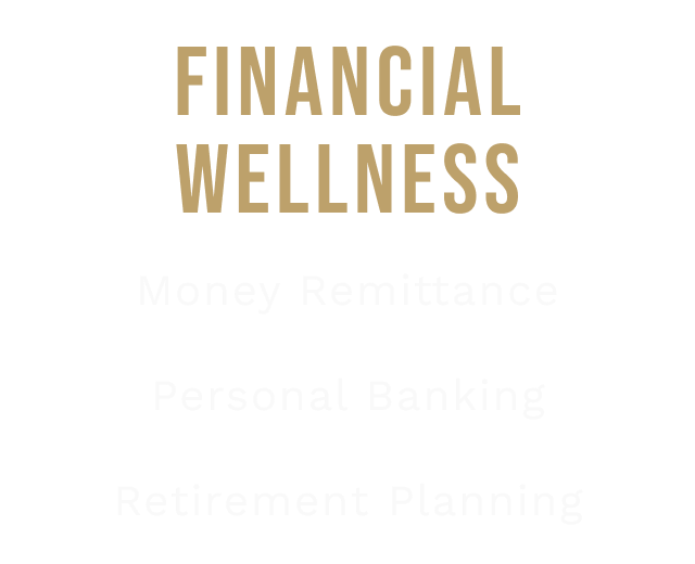 Financial Wellness